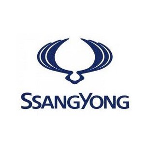 Ssangyong 2tlačitkový prestavbový na vystreľovací 