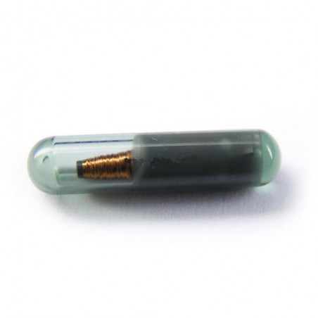 Car Transponder Chip ID48 for VW/Skoda/Seat/Audi/Honda (New / Blank